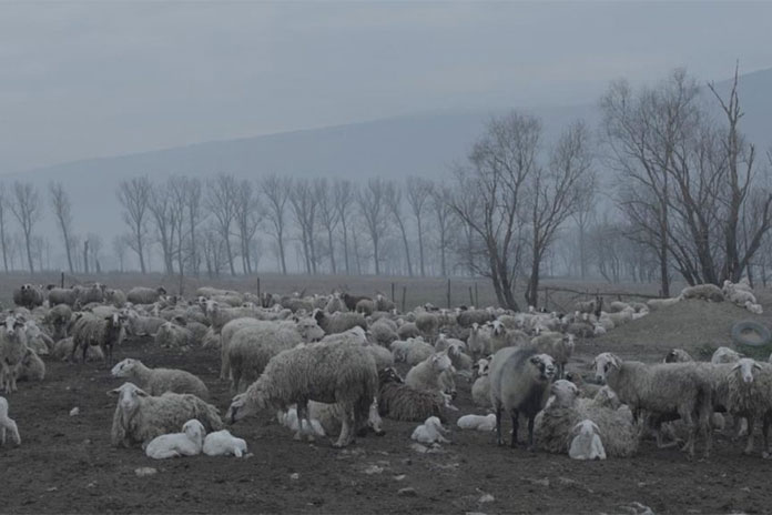 Foto: Kadar iz dokumentarnog serijala 