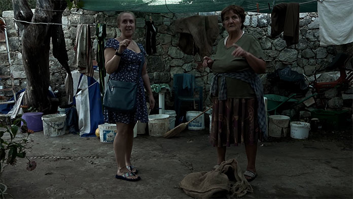 Foto: Kadar iz dokumentarnog filma "O mačkama i ljudima"