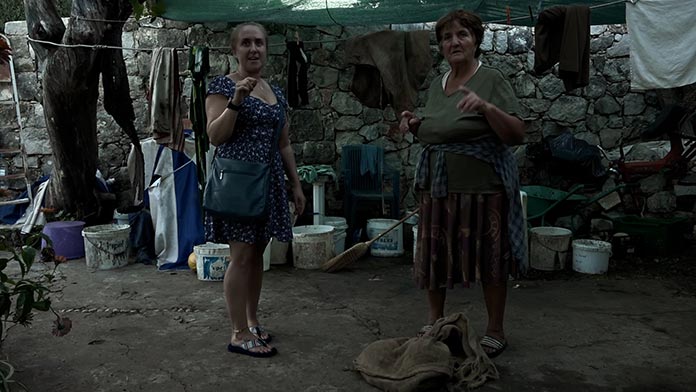 Foto: Kadar iz dokumentarnog filma "O mačkama i ljudima"