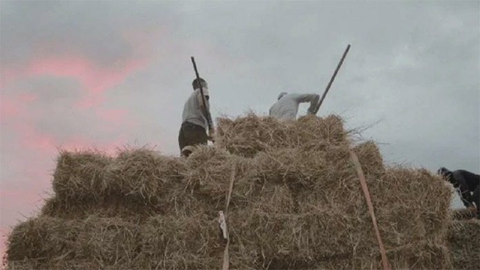 Foto: Kadar iz dokumentarnog filma "A Crypto Rush Aftermath"