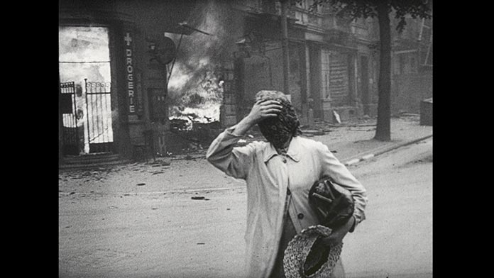 Foto: Kadar iz dokumentarnog filma "Prirodna povijest uništavanja"