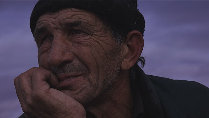 Foto: Kadar iz dokumentarnog filma "U potrazi za konjima"