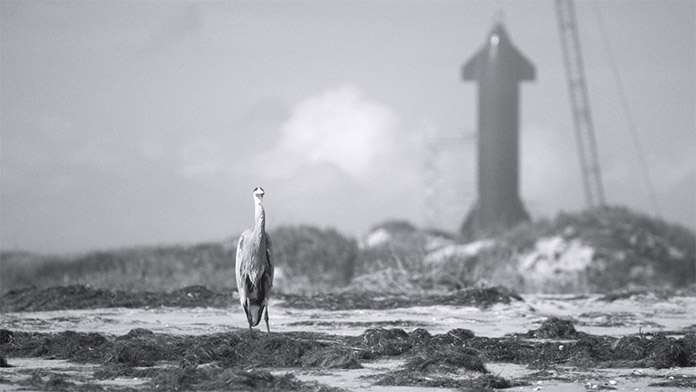 Foto: Kadar iz dokumentarnog filma "Shifting Baselines"